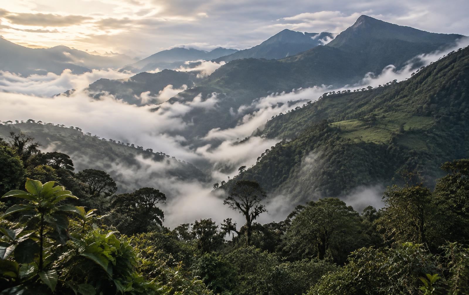 Paisaje montañoso temporal del Tolima entre nubes